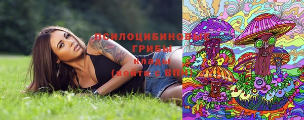 герыч Верхний Тагил