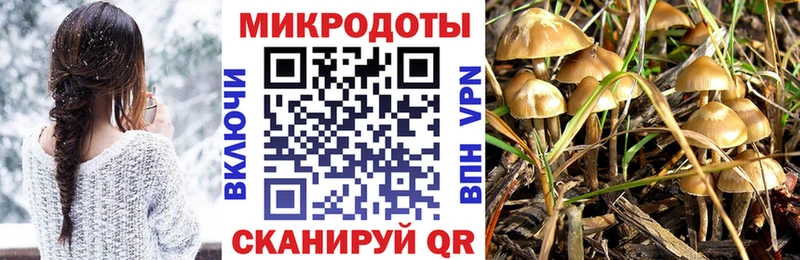 Галлюциногенные грибы мухоморы  Елизаветинская 